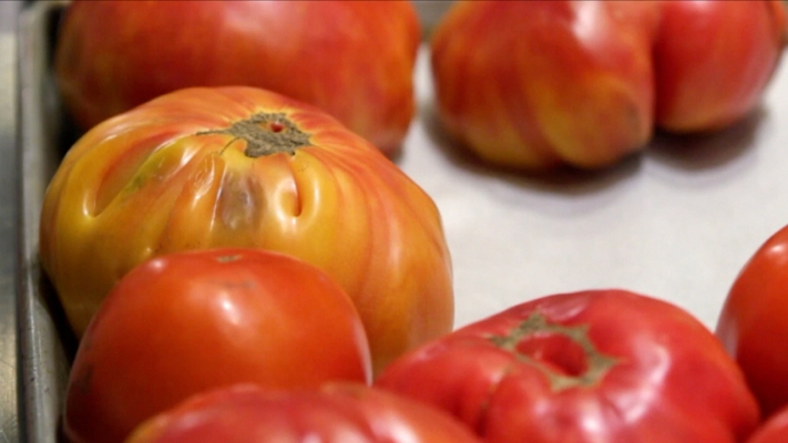 Tomatoes....You Say Heirloom, I Say Old Timey