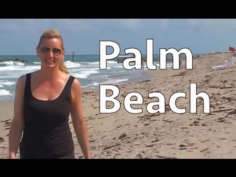 The Palm Beaches - Lions and Turtles and Polo Ponies, Oh My!