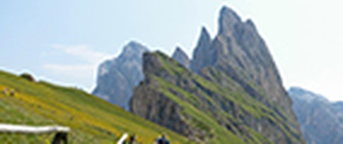 Austrian and Italian Alps