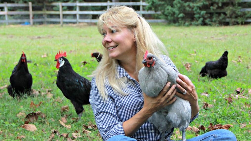 The Chicks Are Coming!