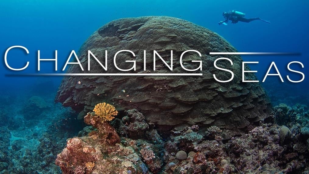 Changing Seas | American Samoa's Resilient Coral Reefs | WTTW