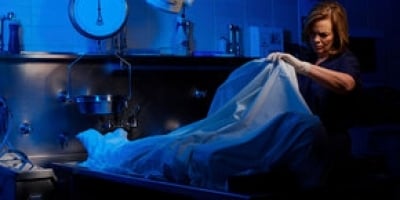 Frontline Post Mortem Wttw