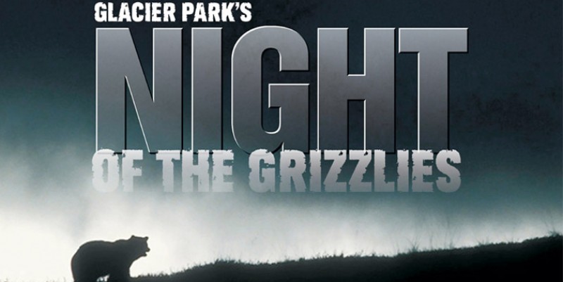 glacier park night of the grizzlies