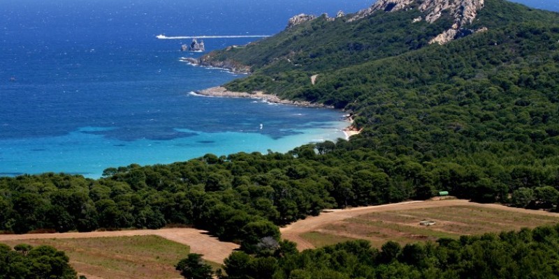 France's Isle of Porquerolles