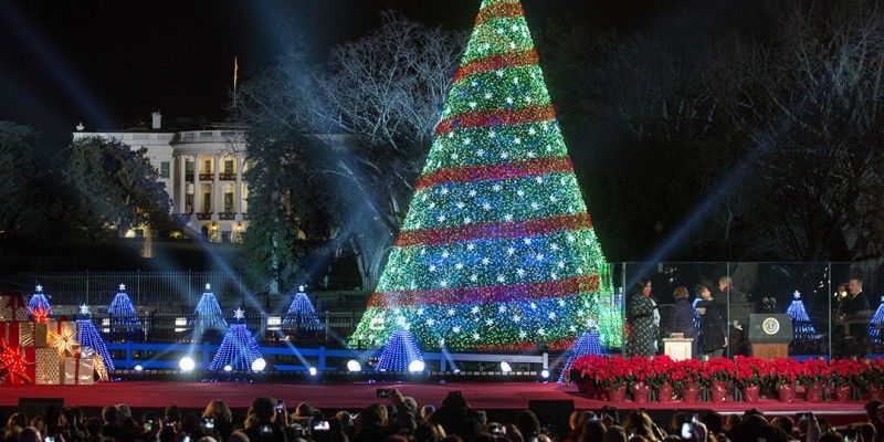 national christmas tree lighting wttw national christmas tree lighting wttw