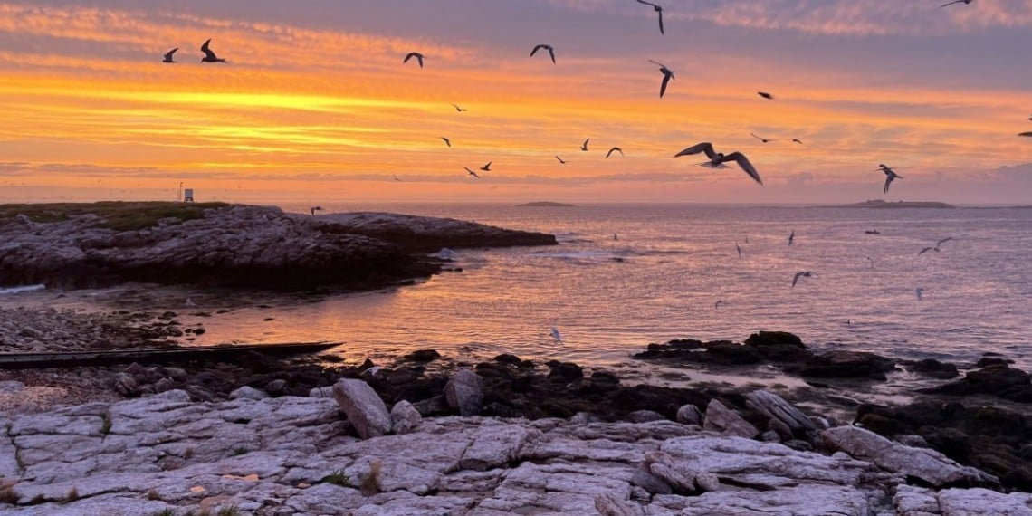 Sea Change: The Gulf of Maine, a NOVA Special Presentation