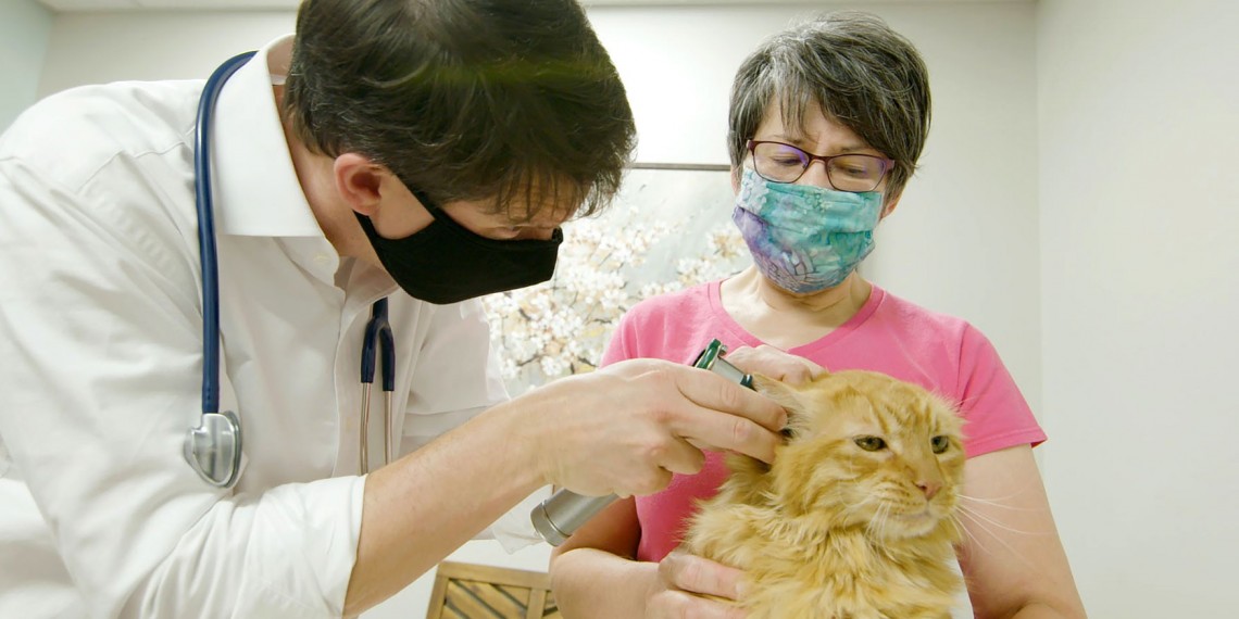 The Cost of Caring