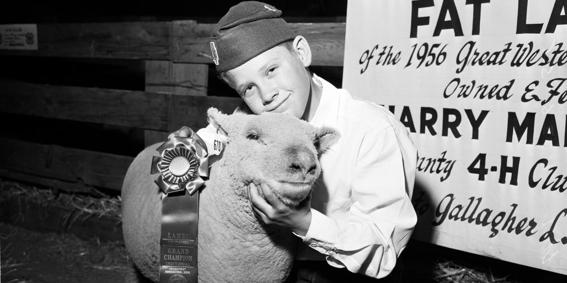 The Legacy of 4-H
