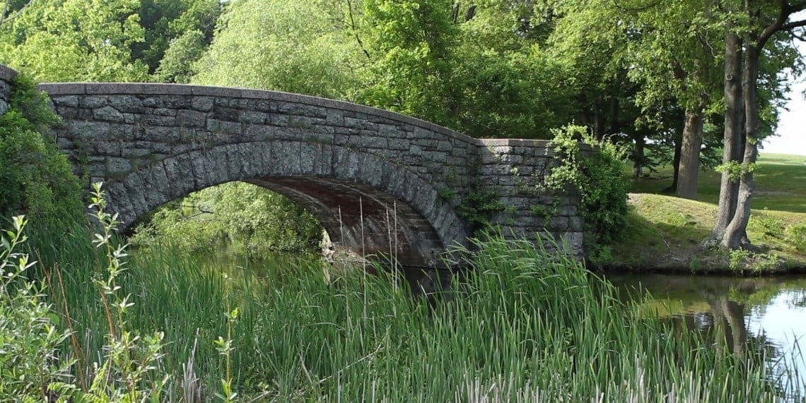 Frederick Law Olmsted: Designing America