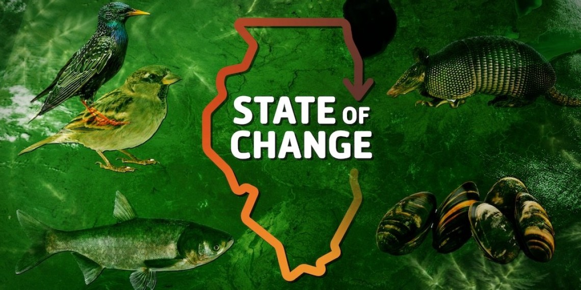 State of Change 2026
